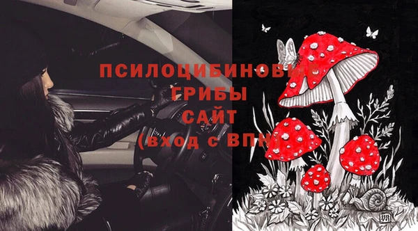 прущая мука Арсеньев