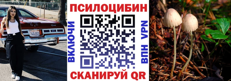 Псилоцибиновые грибы Magic Shrooms  как найти закладки  Омутнинск 